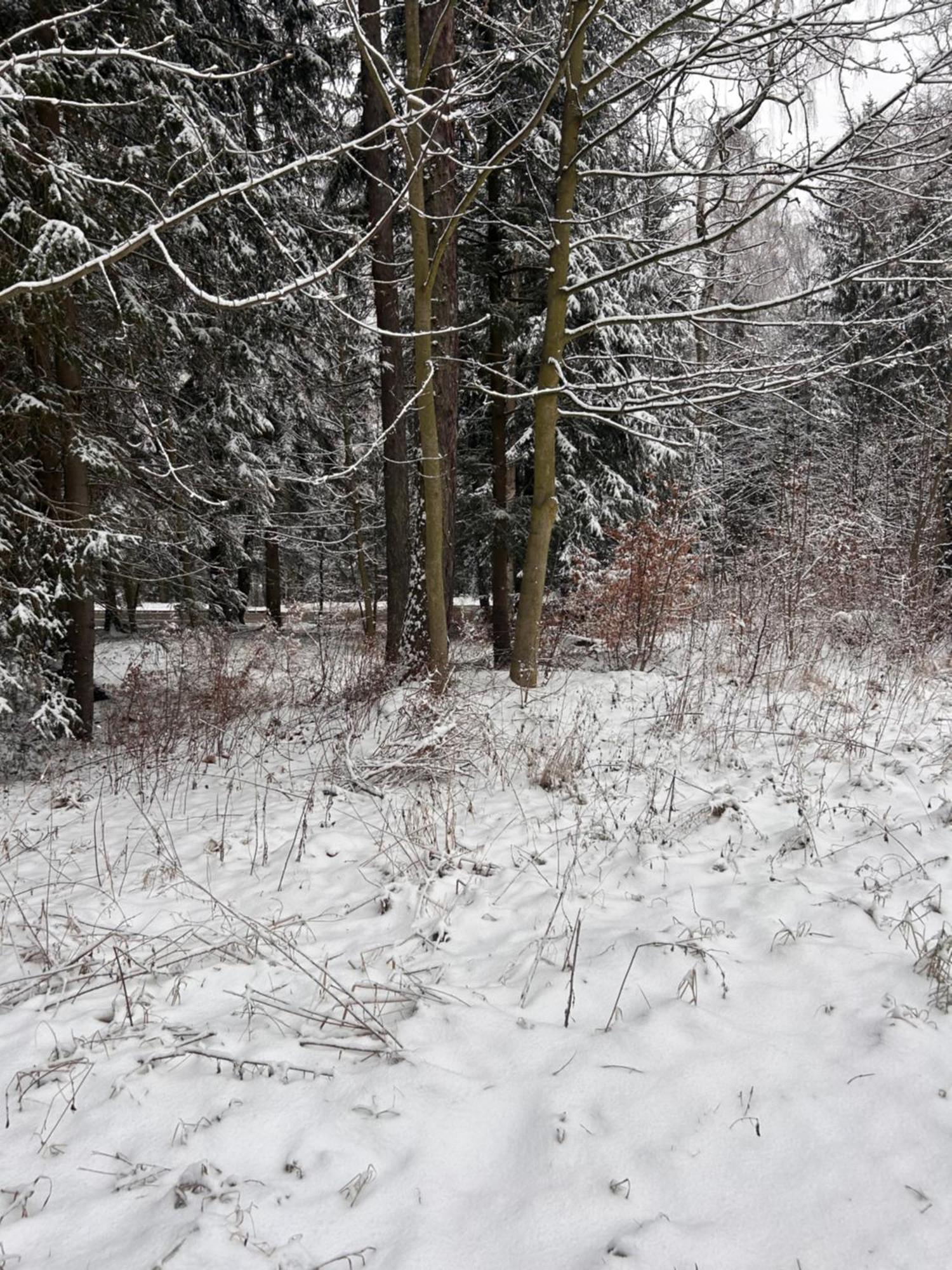 Willa Kaliniec Karpacz Bagian luar foto